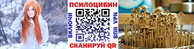 Галлюциногенные грибы Psilocybe  купить  цена  blacksprut ссылка  Солнечногорск 